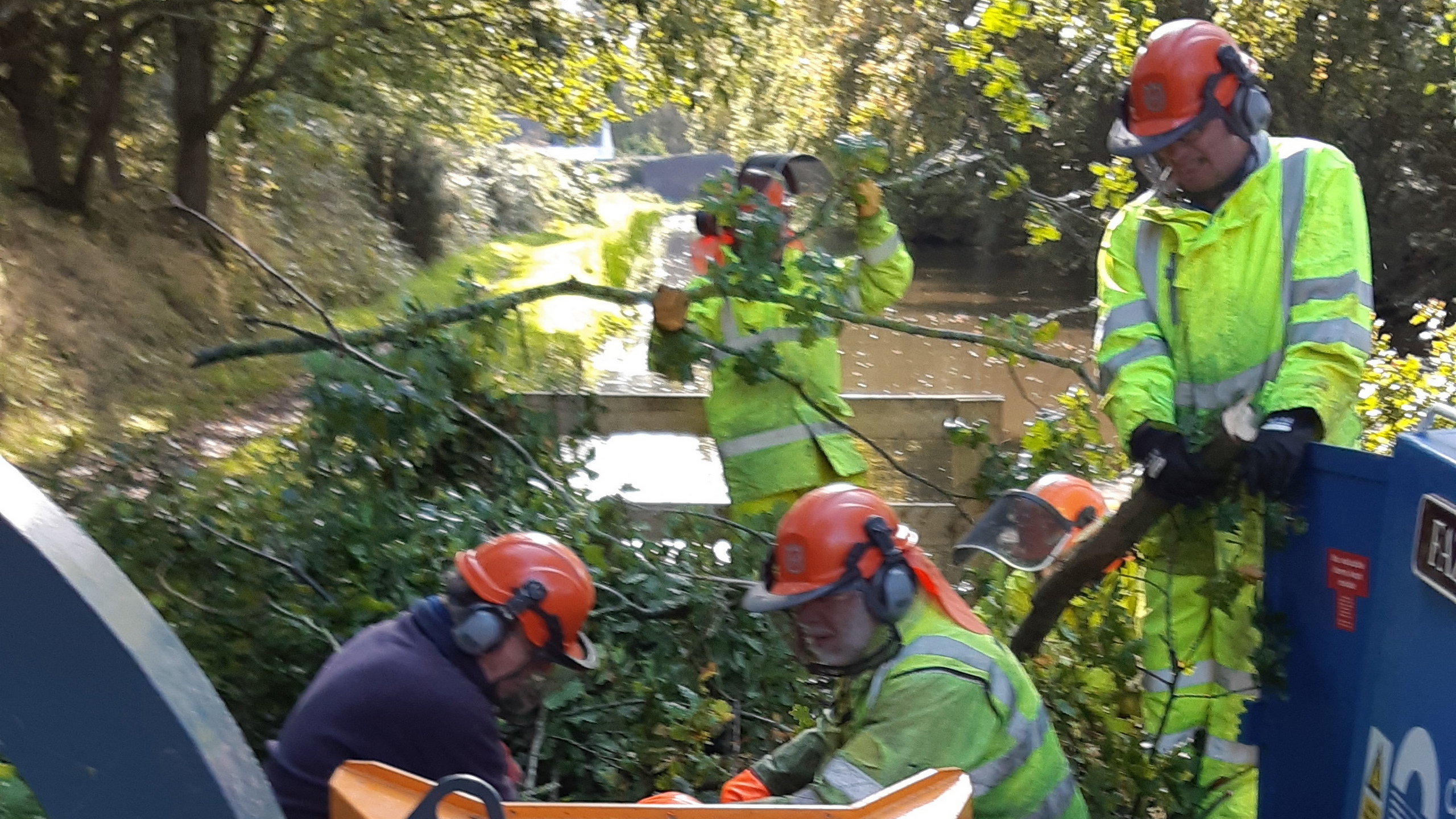 IWA Lichfield Branch volunteers clear offside vegetation